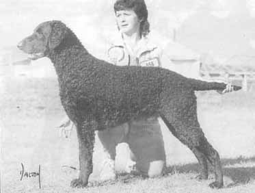 DARELYN RIFLEMAN